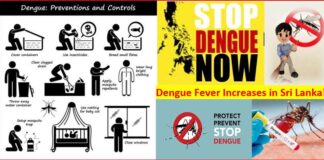 Dengue Fever increases in Sri Lanka with Rains