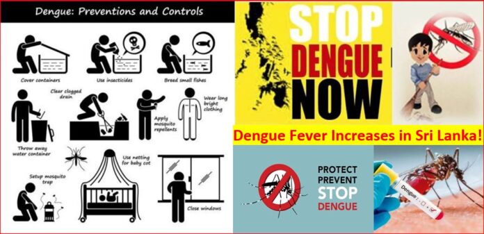 Dengue Fever increases in Sri Lanka with Rains