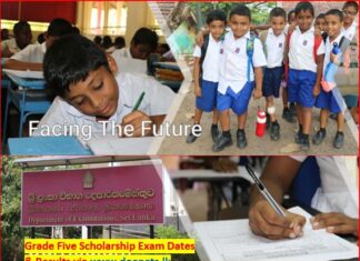 Grade 5 Scholarship Exam Re-correction Results Released