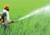 President to make Sri Lanka the first country in the world to end use of chemical fertilizers completely