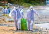 Sri Lanka faces marine disaster as waves of plastic from burning MV X-Press Pearl ship wash ashore