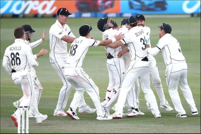 New Zealand won the ICC World Test Cricket Championship WTC final beating India