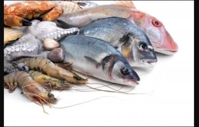 Sri Lanka Fish Export market