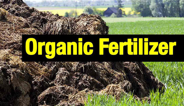 Sri Lanka Government Policy on Use of Organic Fertilizer has not changed