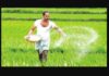 Fertilizer Issue Sri Lanka