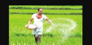 Fertilizer Issue Sri Lanka