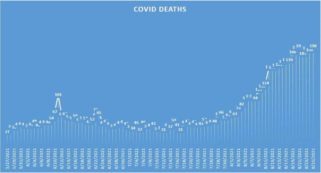 COVID death toll in Sri Lanka passes 8000 as 209 more Deaths confirmed for August 25