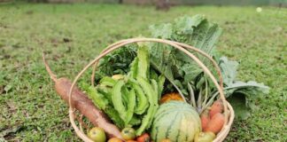 Organic Farming Sri Lanka