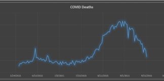 Sri Lanka records the lowest single-day coronavirus deaths after 50 days