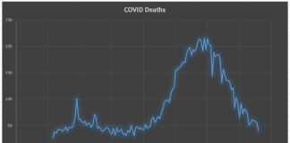 Sri Lanka records the lowest single-day coronavirus deaths