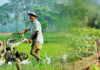 Presidential Task Force for Green Agriculture established in Sri Lanka