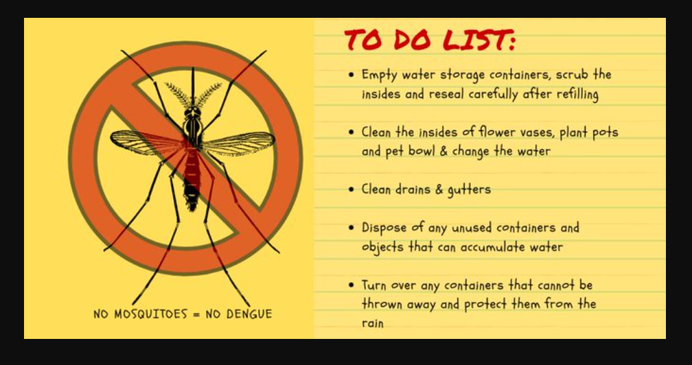 Sri Lankans - Keep your place clean & destroy mosquito breeding grounds!
