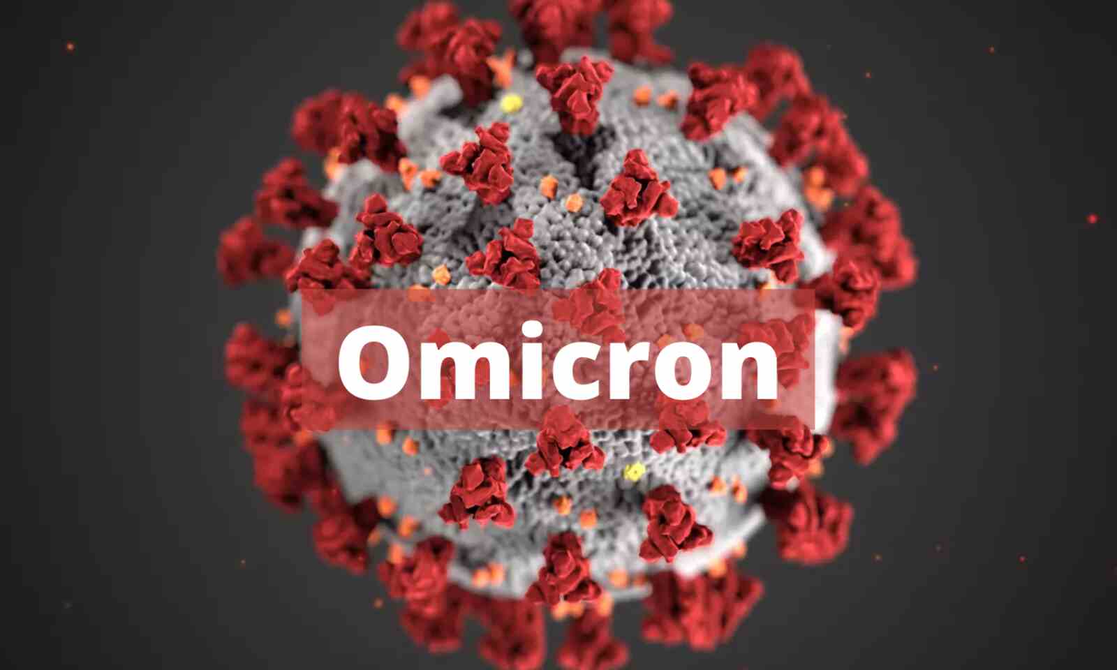 More Omicron Cases report in Sri Lanka