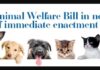 Sri Lanka to pass Animal Welfare Bill as Cabinet of ministers have approved the animal welfare bill