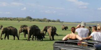 Tourists arrival in Sri Lanka Increasing - Image Ceylon Expeditions