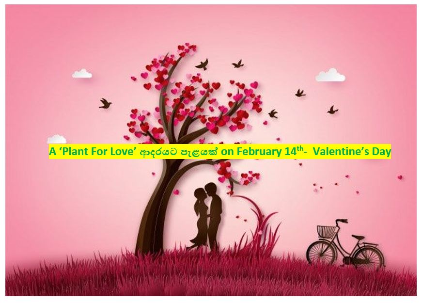 A ‘Plant for love’ special tree planting program on February 14th Valentine’s Day