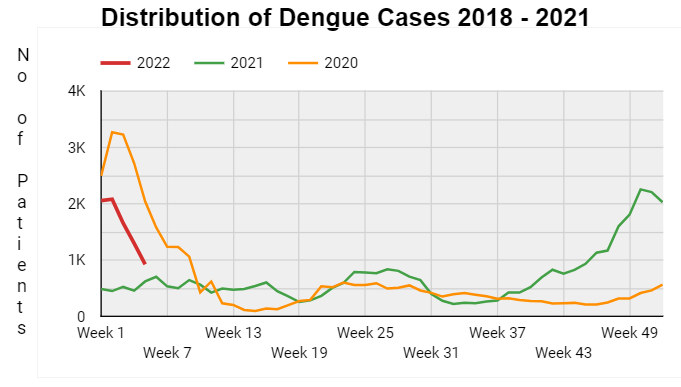 Over 8600 dengue cases report in Sri Lanka