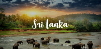 Sri Lanka has been among the top 13 destinations and safest countries in the world to travel to..