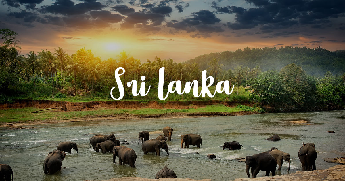 Sri Lanka among the safest countries to travel