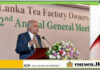 Sri Lanka Tea Industry