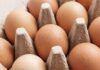 Cabinet agrees to proposal to import eggs