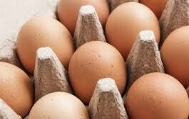 COPF instructs to calculate selling price of egg and submit within one week