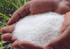 Vessel carrying 9,000MT of urea fertilizer reaches Colombo