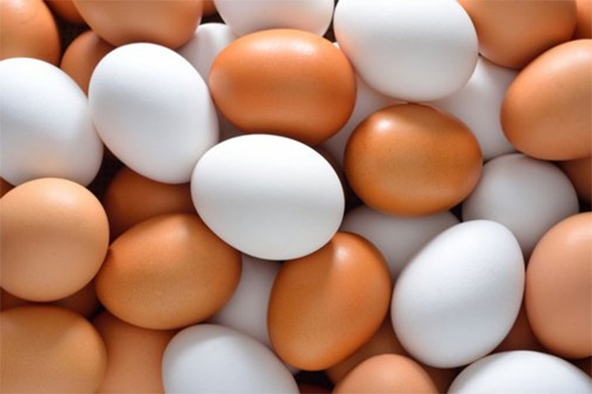<strong>Producers agree to provide eggs at Rs. 50 </strong>