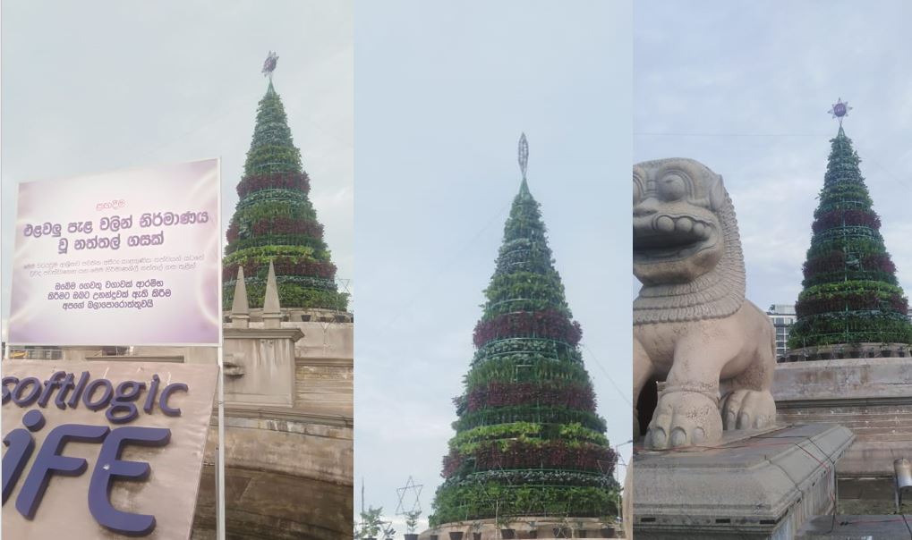 Christmas tree made from vegetable plants