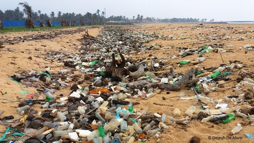 Ocean Plastics Reduction Sri Lanka - Image Dinesh De Alwis