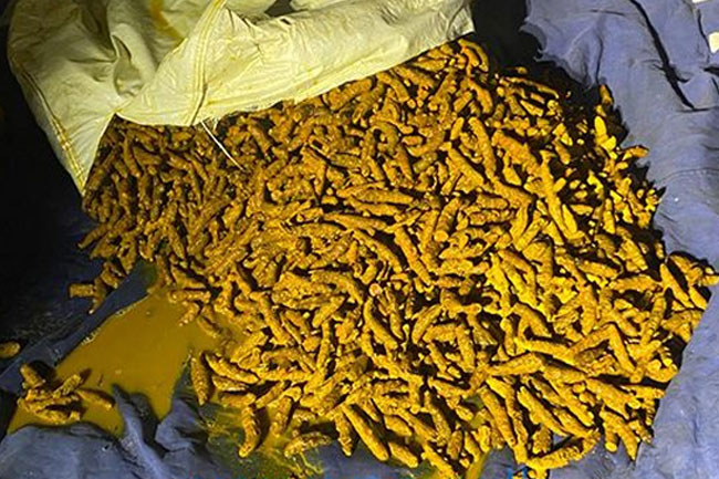 Four nabbed with nearly 1,000kg of smuggled turmeric