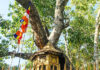 special committee to investigate the reports claiming that telecommunication towers are harming the Sri Maha Bodhiya.