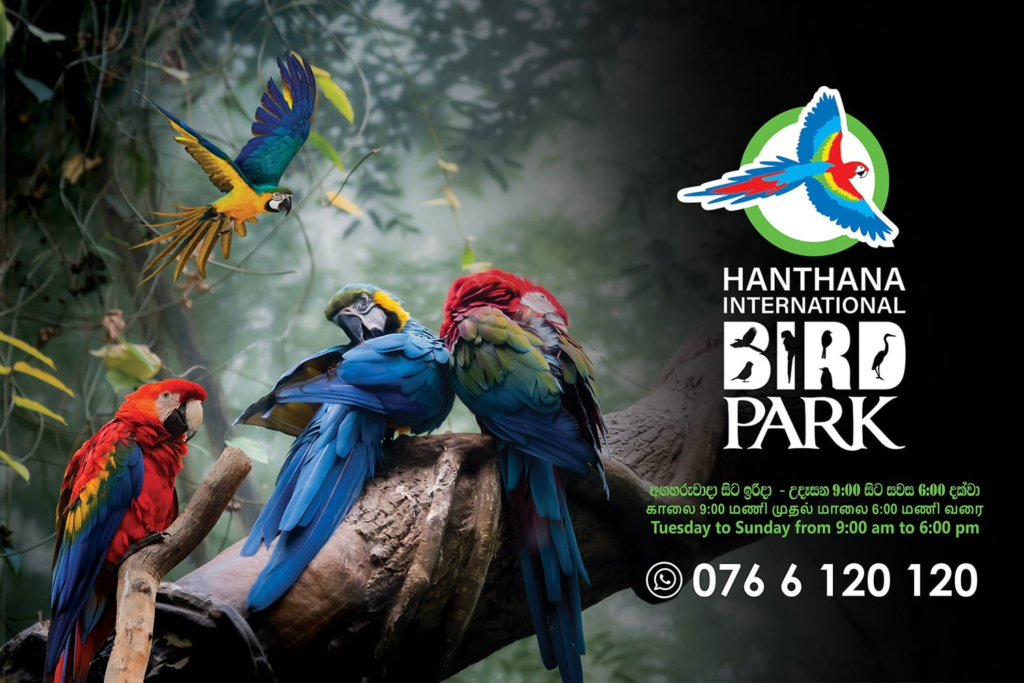 Hanthana Migratory Bird Park and Ecotourism Zone Sri Lanka