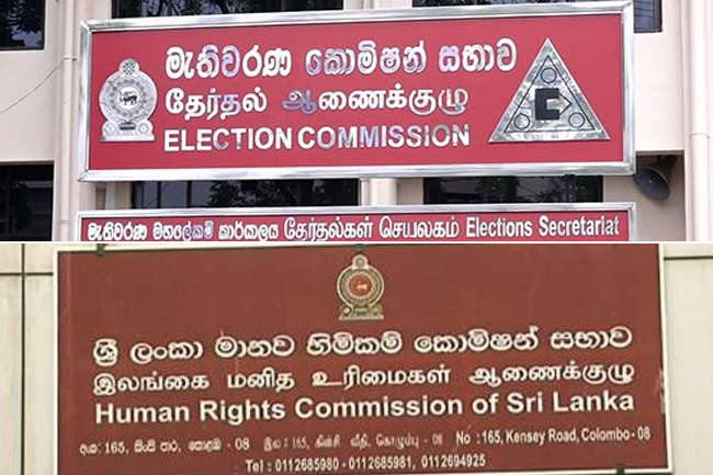New chairpersons appointed to EC and HRCSL