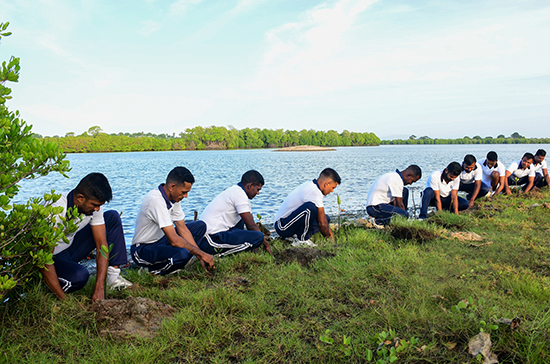 Mangrove planting initiative takes root in Southeastern Naval Command