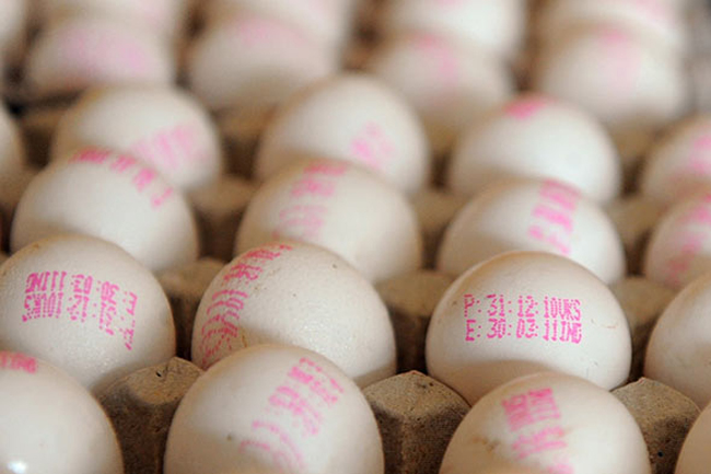 Sri Lankan Cabinet gives nod to import over 92 million eggs from India