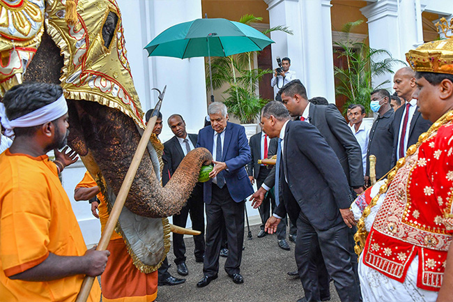 President says protecting elephants important, need to preserve ancient customs too