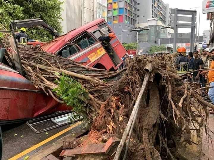 Five succumb to injuries after tree fell on bus in Colombo