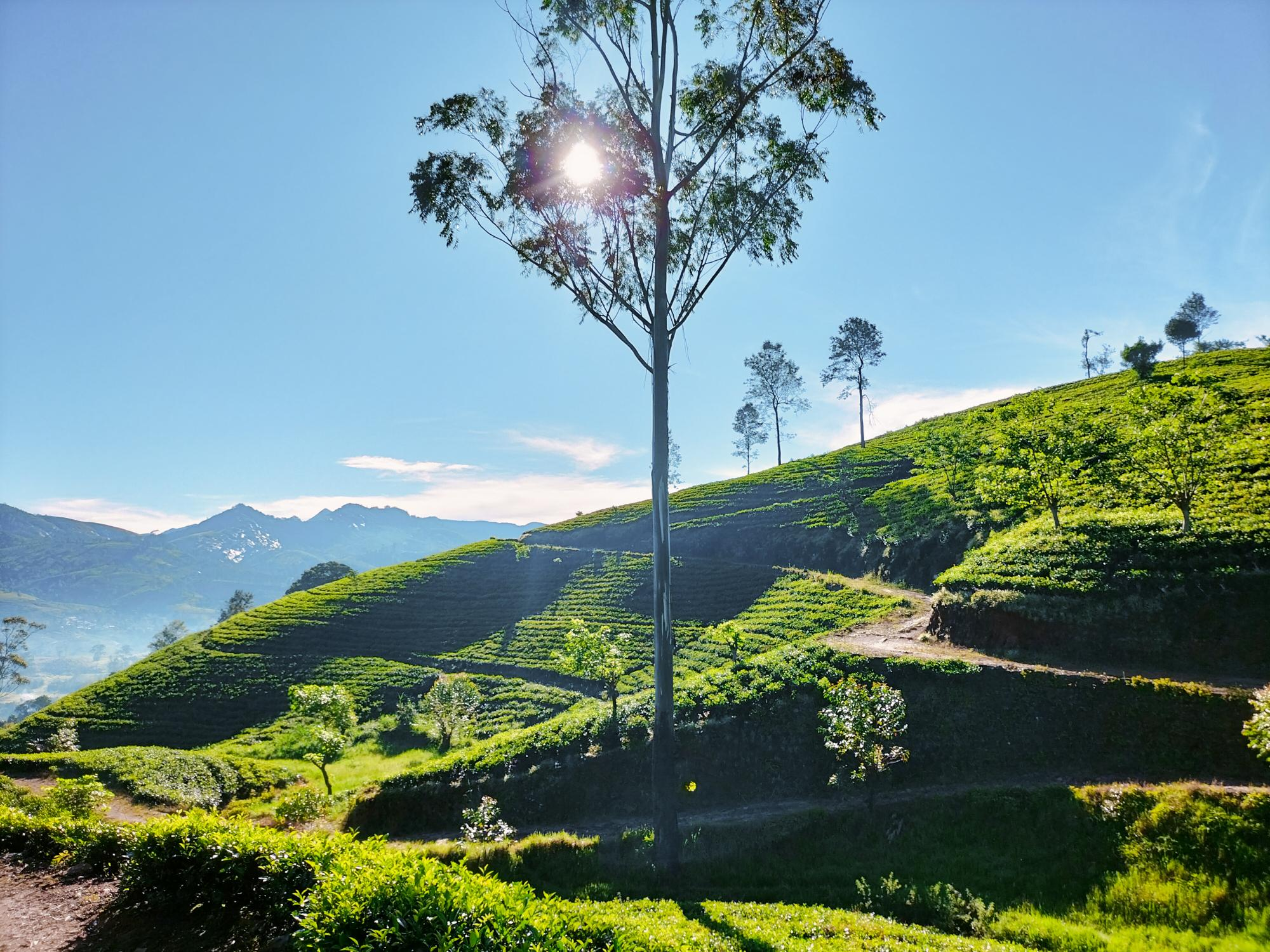 Sri Lanka’s Pekoe Trail wins prestigious British Guild of Travel Writers Award