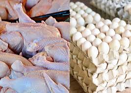 Prices of egg, chicken likely to go down during festive season