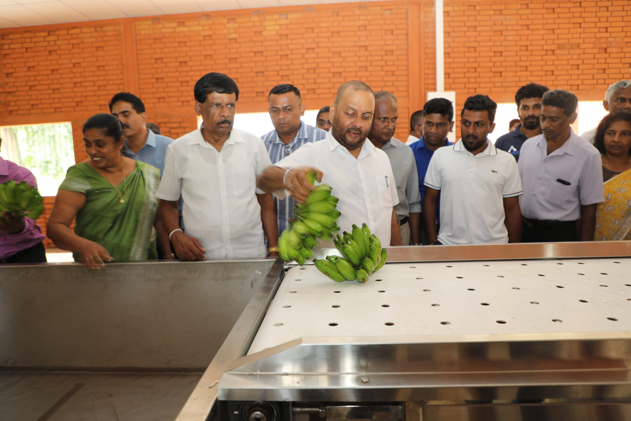 Construction of Sri Lanka’s third Sour Banana Export Processing Center completed. Export start from January 2024