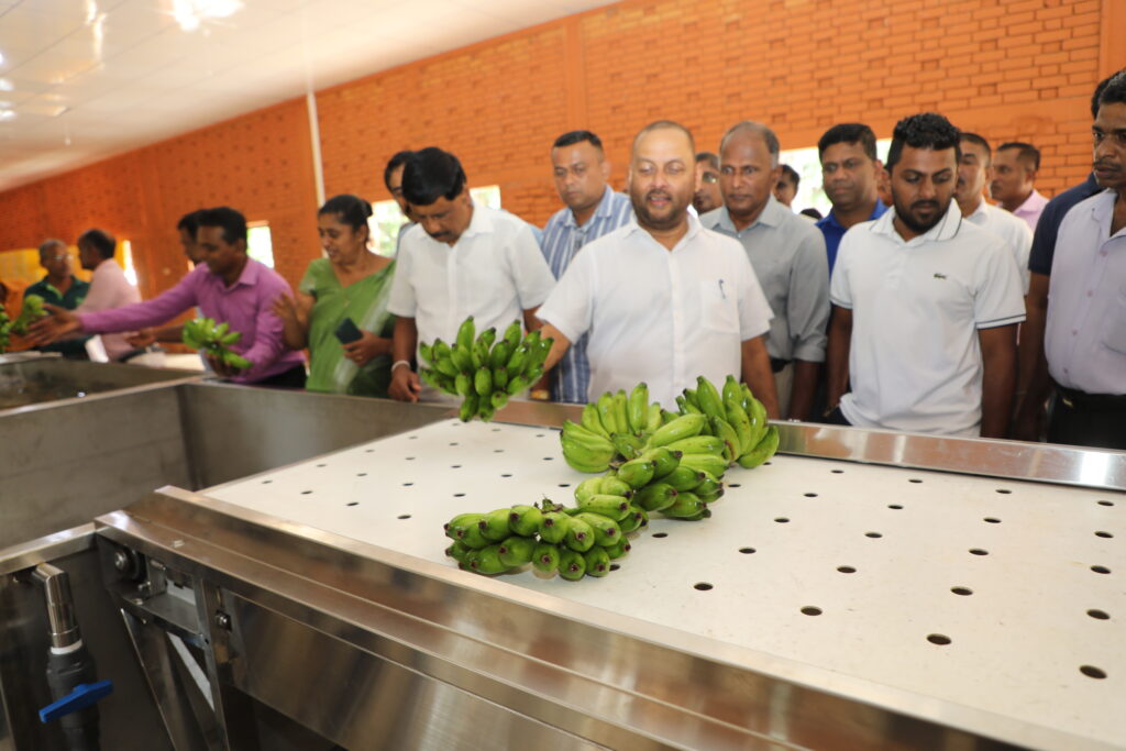 Construction of Sri Lanka's third Sour Banana Export Processing Center completed. Export start from January 2024