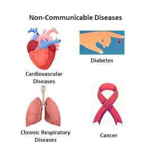 80% of Sri Lanka’s annual deaths caused by non-communicable diseases