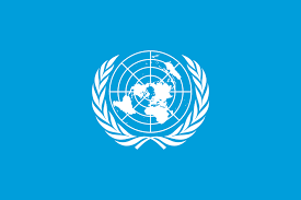 UN experts call on Sri Lanka to immediately suspend and review ‘Yukthiya’ anti-drug operation