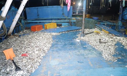 Navy seizes 03 poaching trawlers in Sri Lankan waters