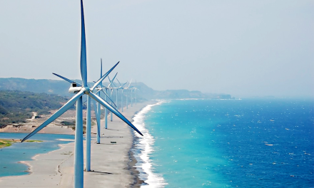 CEB calls for proposals for 50MW wind farm facility in Mannar