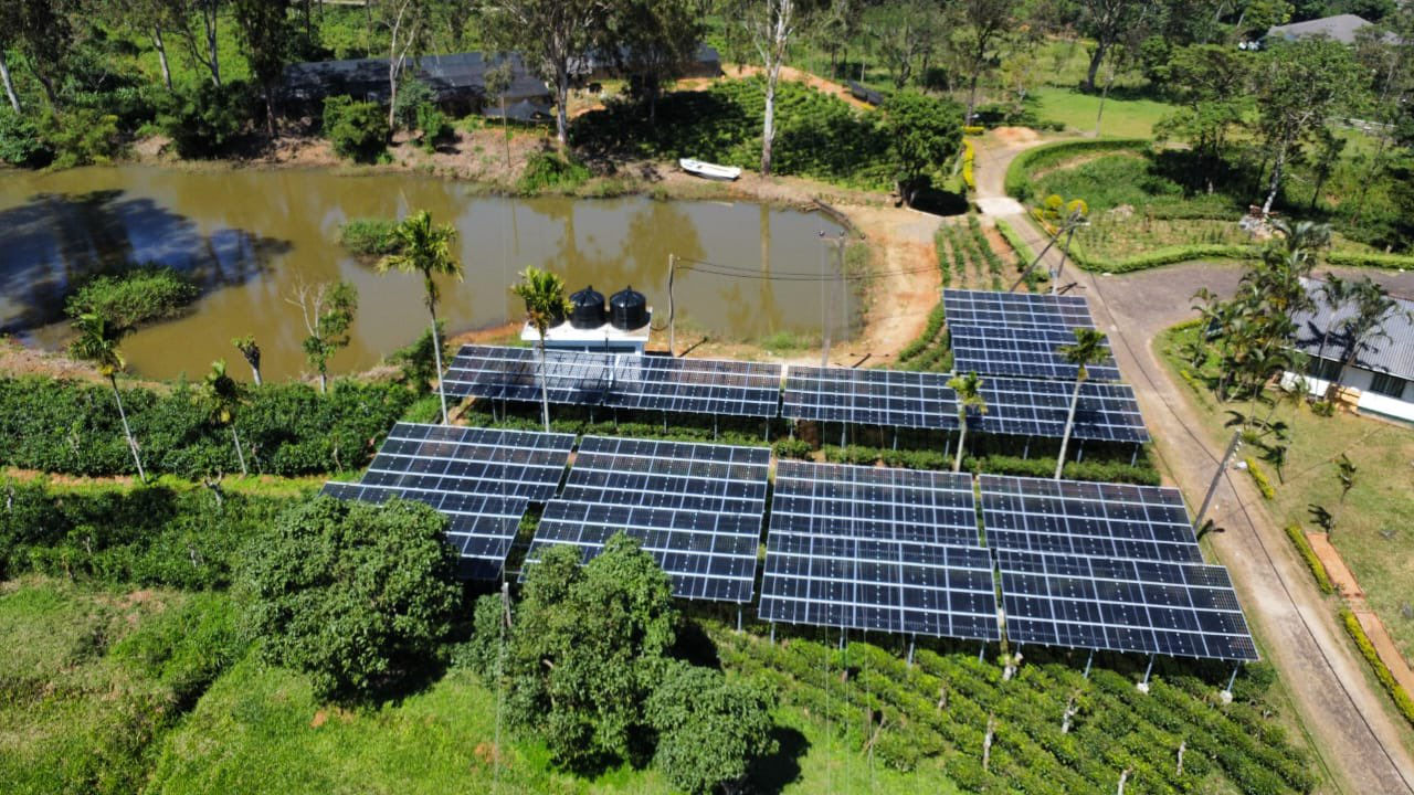 Sri Lanka Unveils Agrivoltaic Pilot Project in Hanthana, Pioneering Solar Power Integration in Tea Plantations