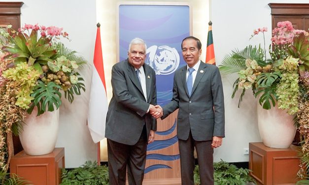 Sri Lanka and Indonesia pledge stronger bilateral ties and economic cooperation